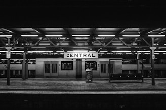 architectural photography of Central station