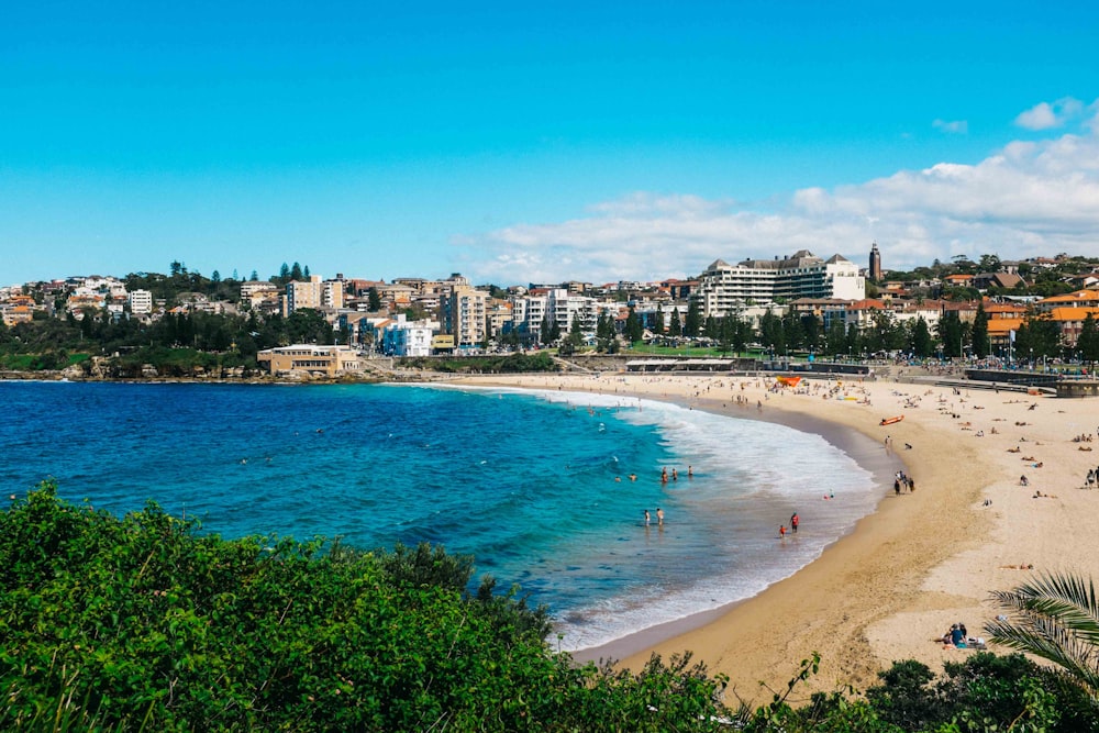 people on beach during daytime