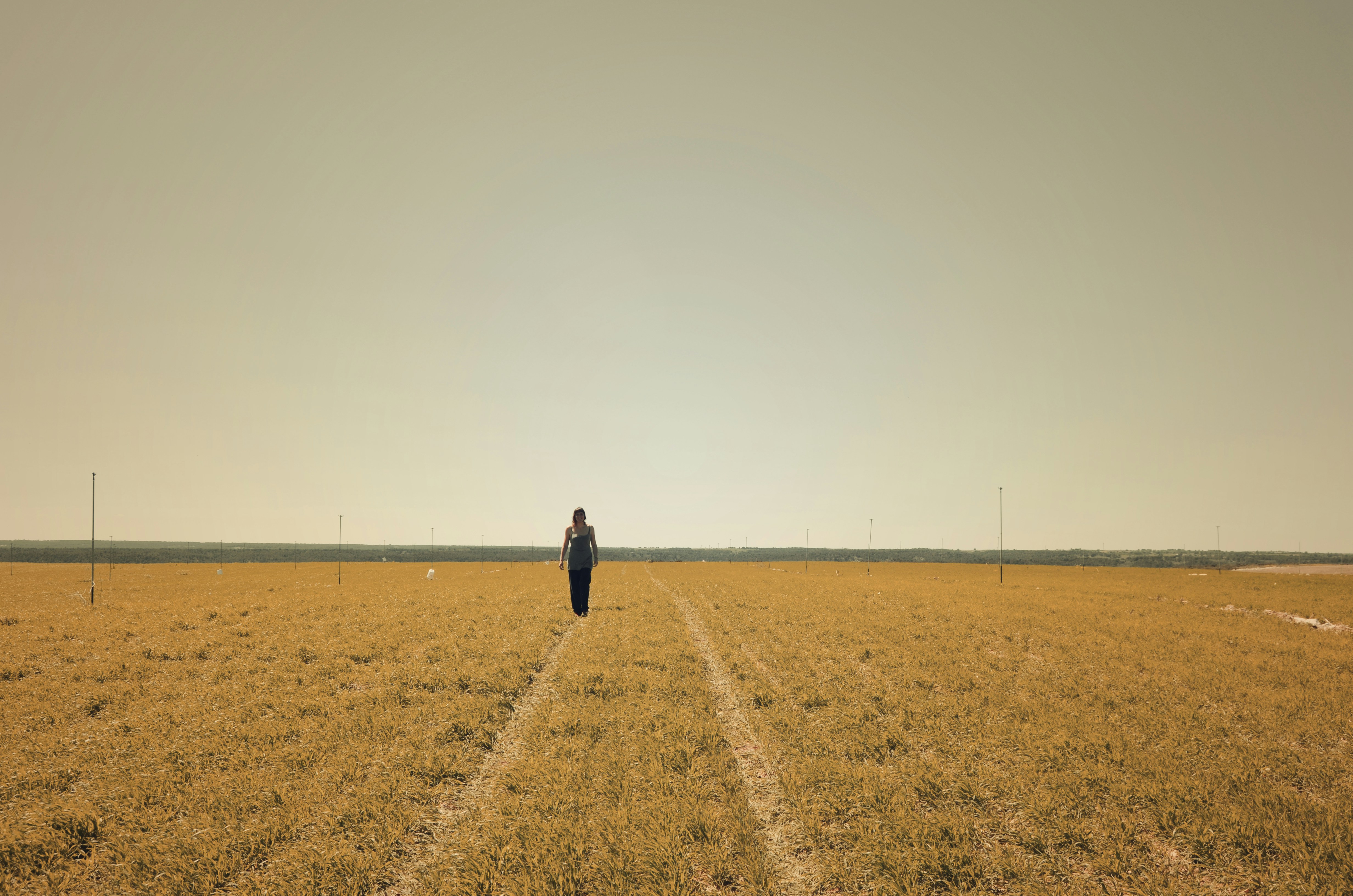 Free Unsplash photo from Beatriz Álvarez