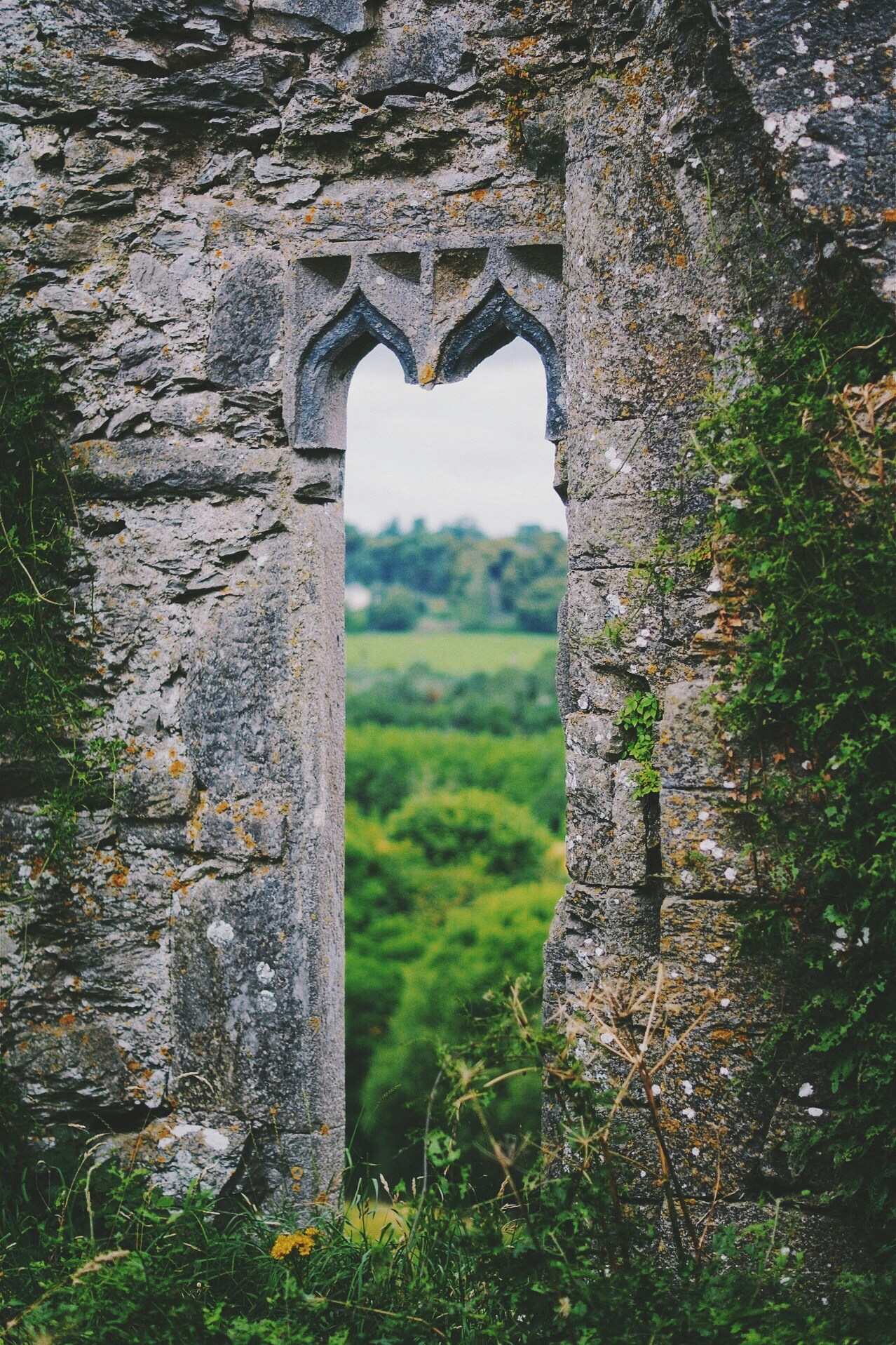 Free Unsplash photo from Skyler Westby