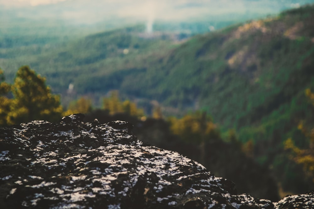 Photographie de vue aérienne à mise au point peu profonde de montagnes pendant la journée