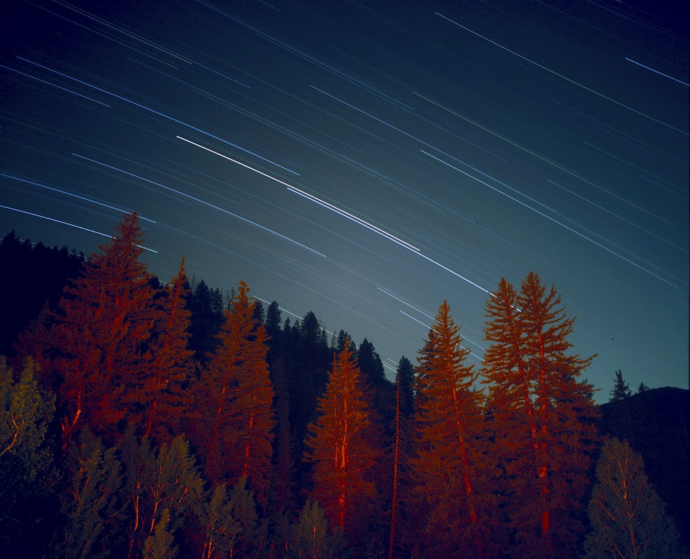 Foto time lapse della scia stellare durante la notte