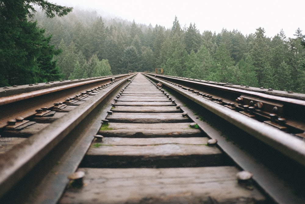 brown and black train rails