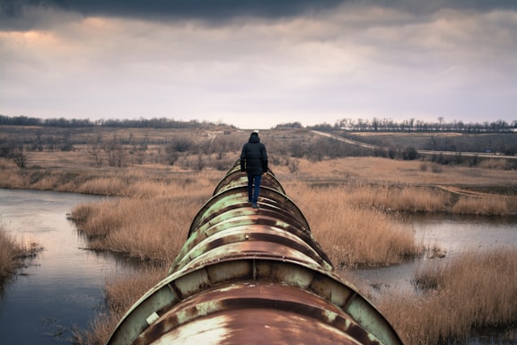 A person in a dark jacket walks along a large, rusty pipeline that stretches into the distance over a marshy landscape. The scene is set under an overcast sky, with sparse vegetation and bare trees surrounding the pipeline.