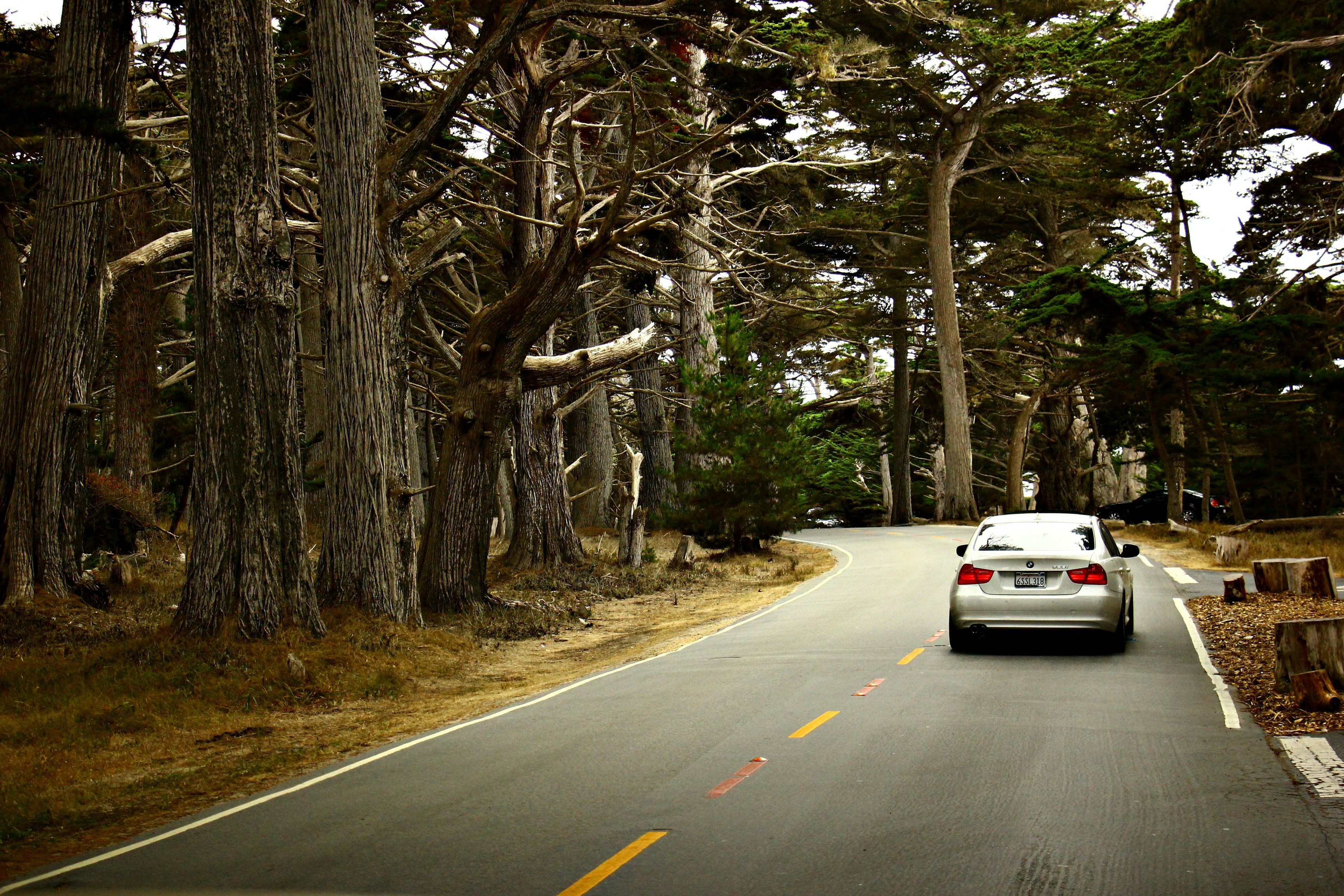 Free Unsplash photo from Eda GOKBAY