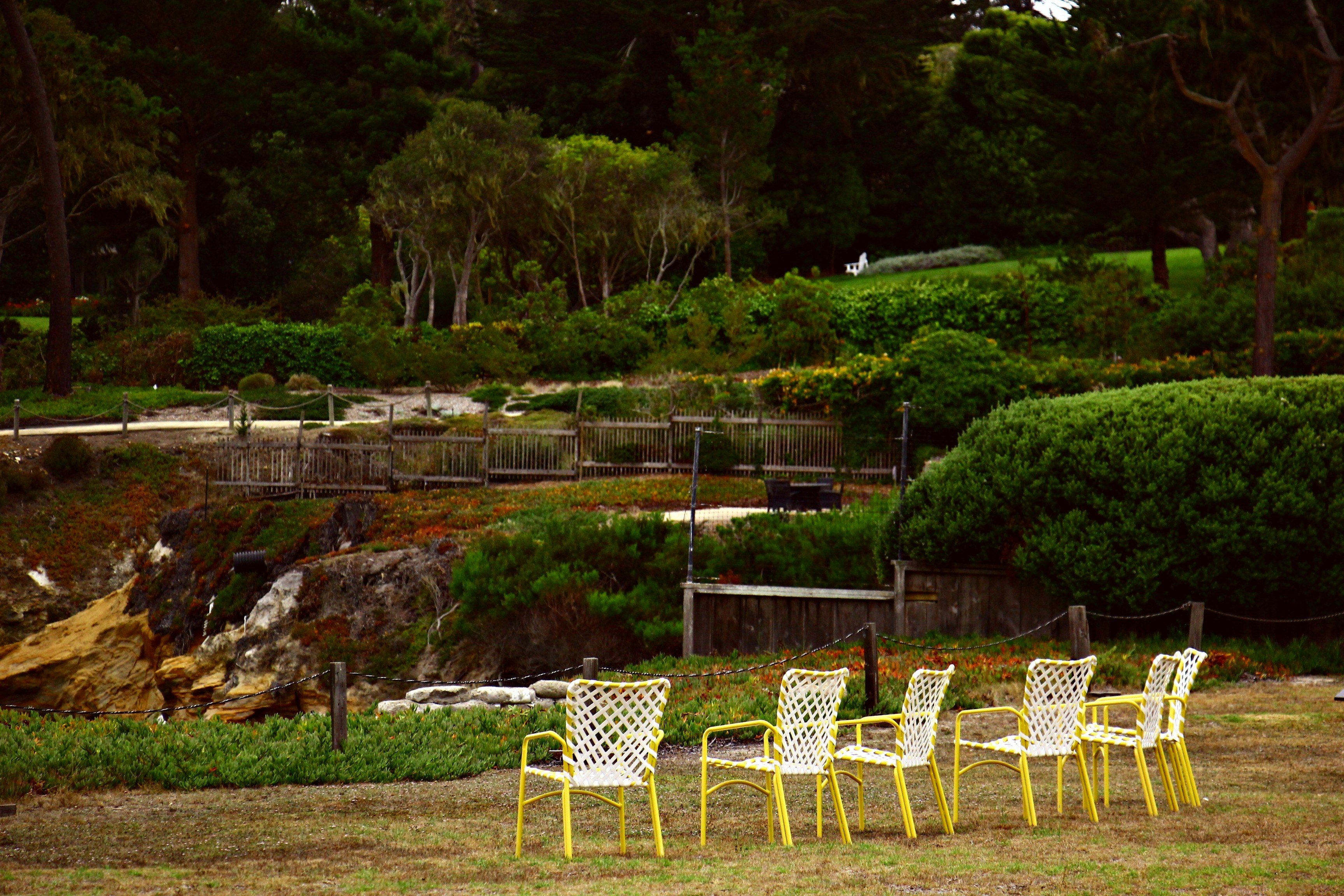 Free Unsplash photo from Eda GOKBAY