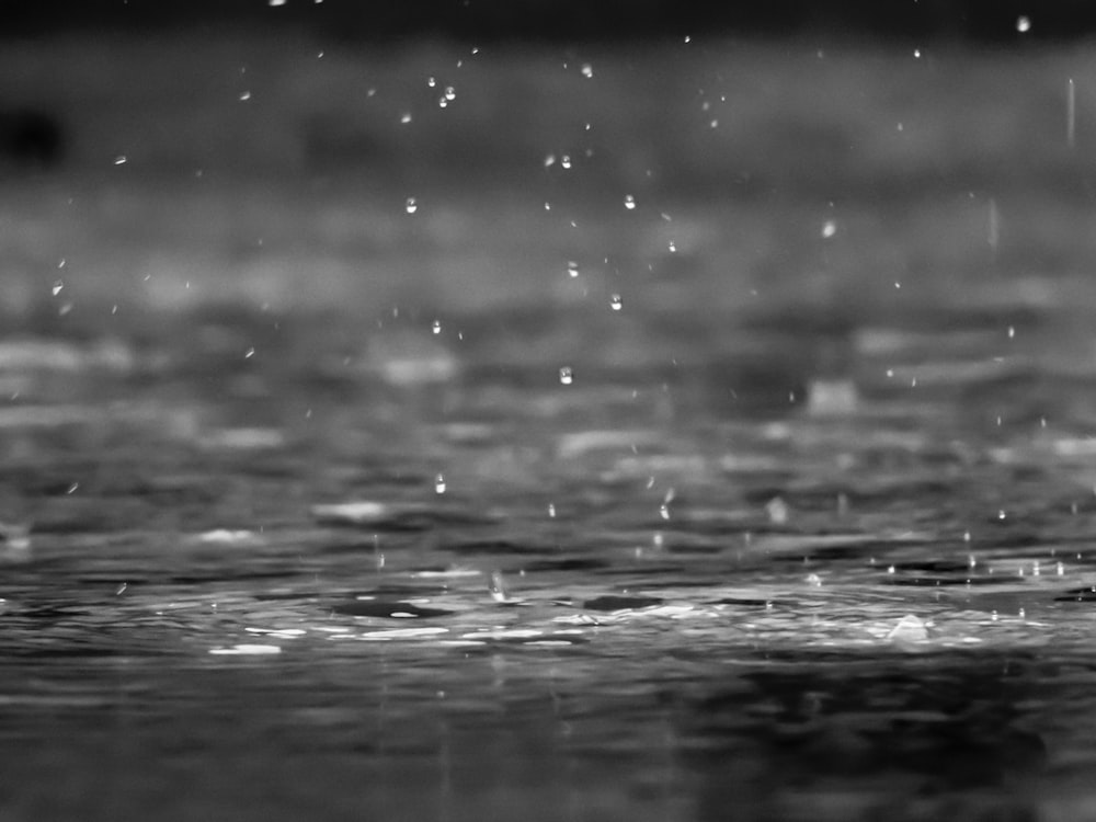 grayscale photography of raindrops