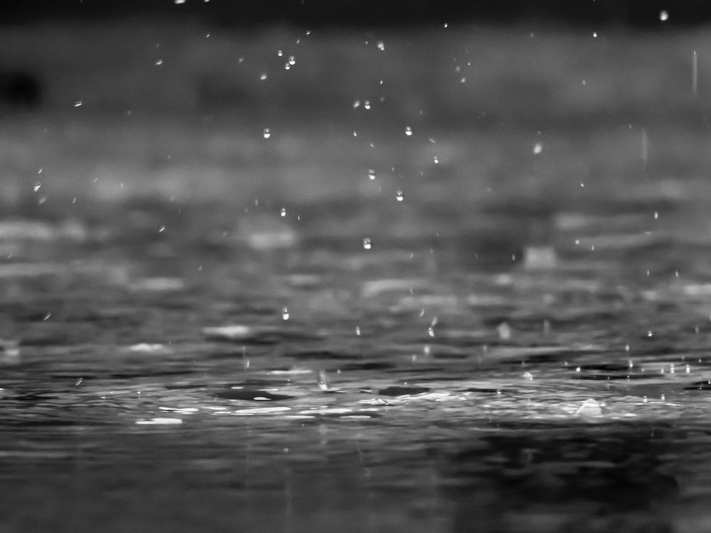 Fotografía en escala de grises de gotas de lluvia