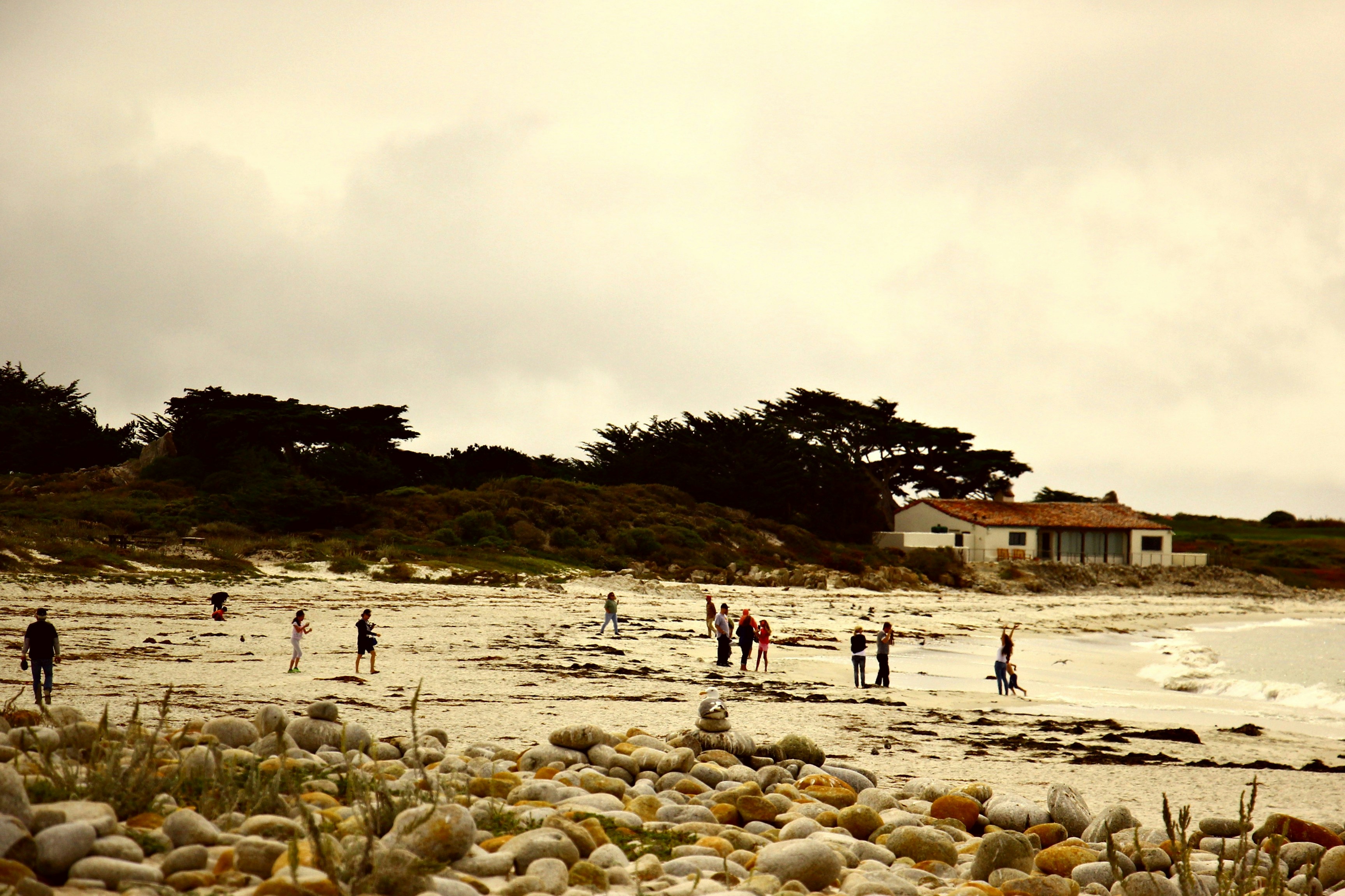 Free Unsplash photo from Eda GOKBAY