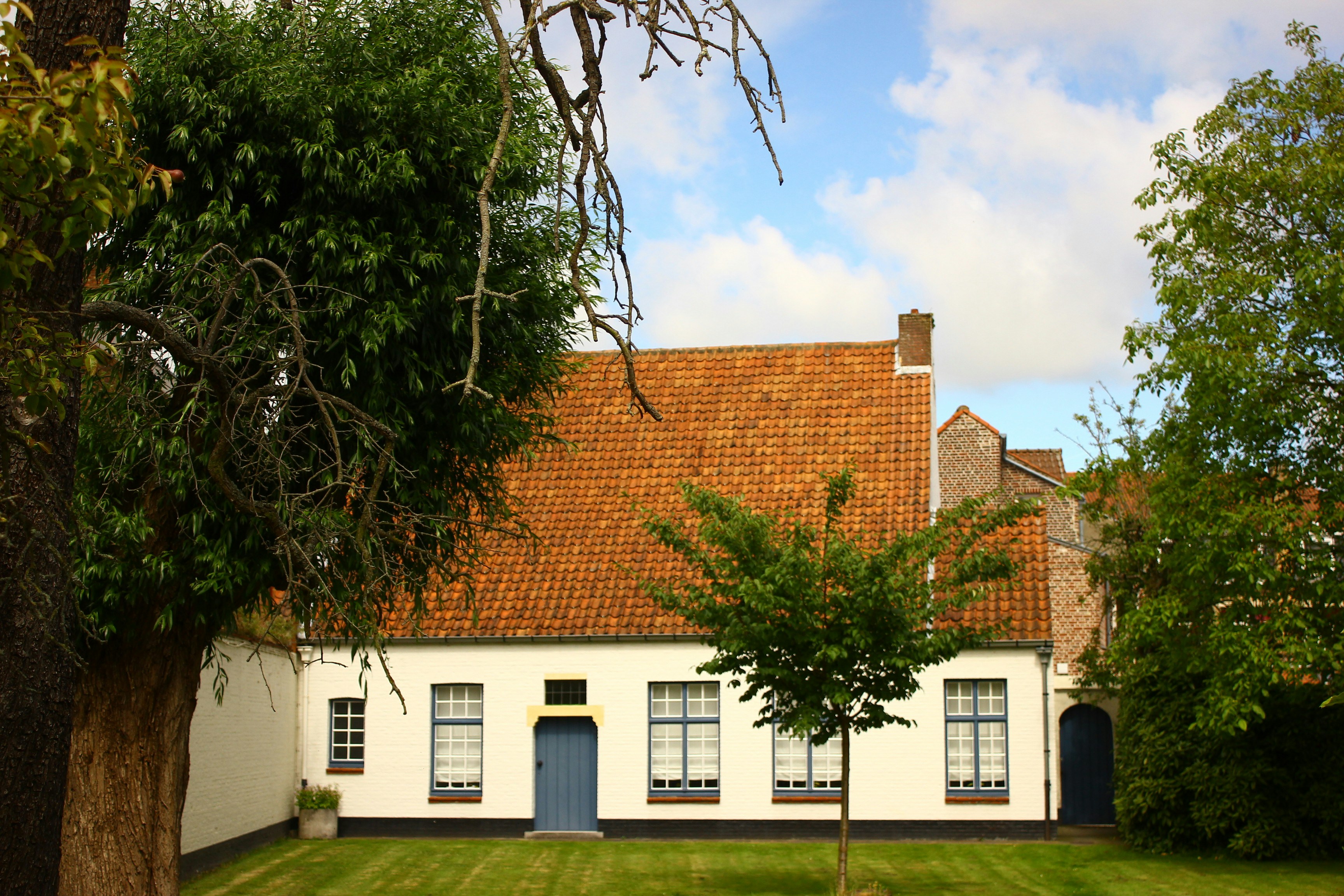 Free Unsplash photo from Eda GOKBAY