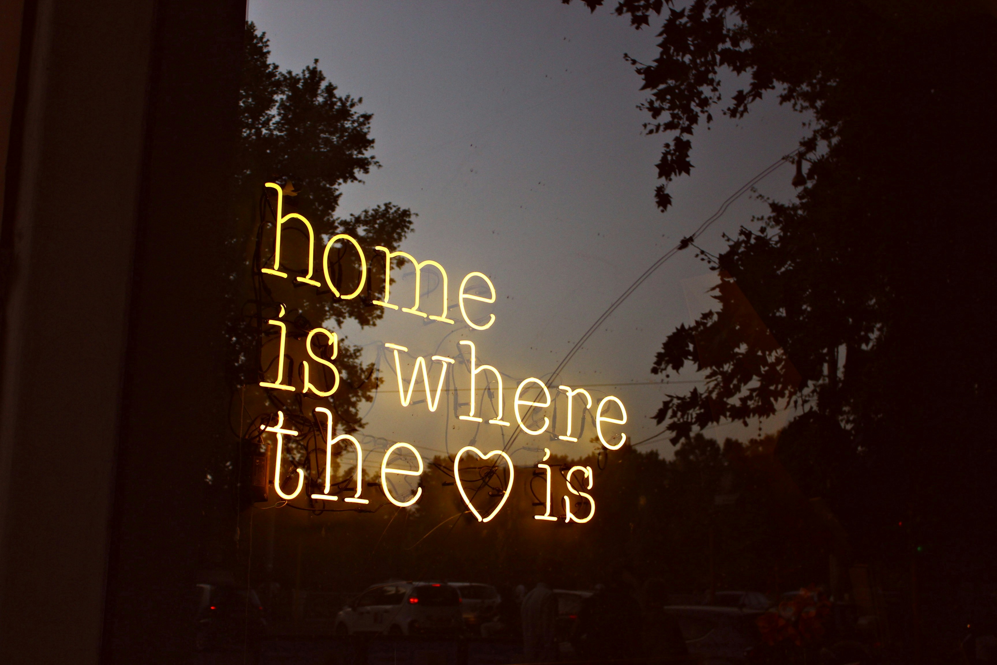 Free Unsplash photo from Eda GOKBAY