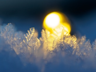 Delicate ice crystals are sharply in focus in the foreground, capturing the intricate patterns and structures. A warm, blurred light glows in the background, contrasting with the cool tones of the ice.