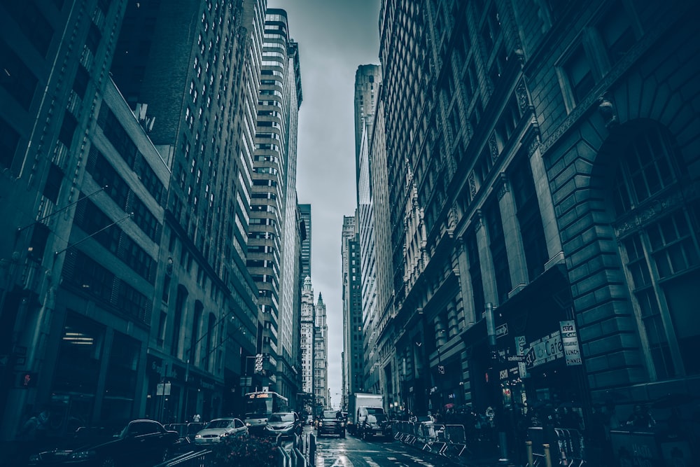 cars of road between buildings on vignette photography