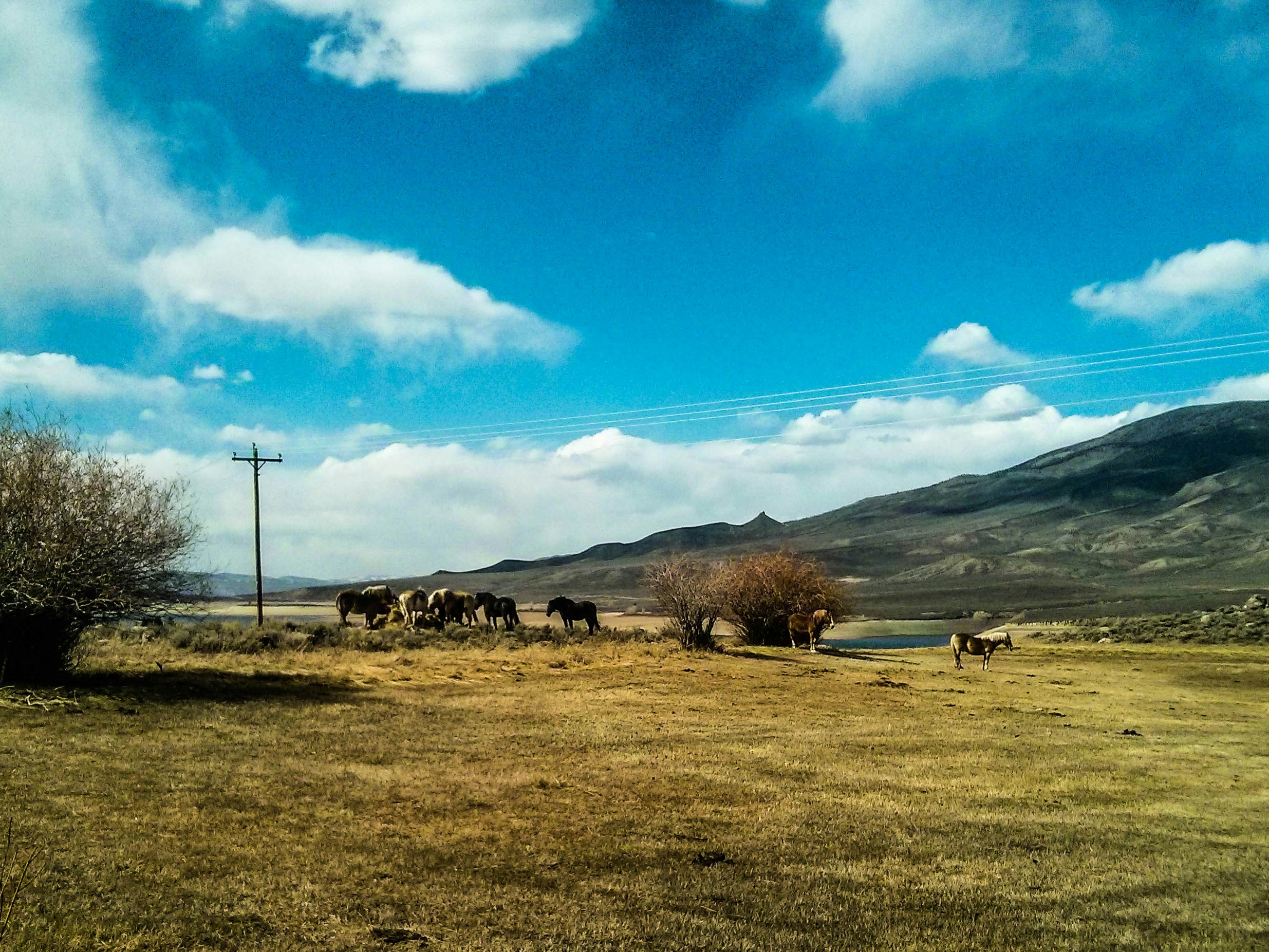 Free Unsplash photo from Maliha Mannan