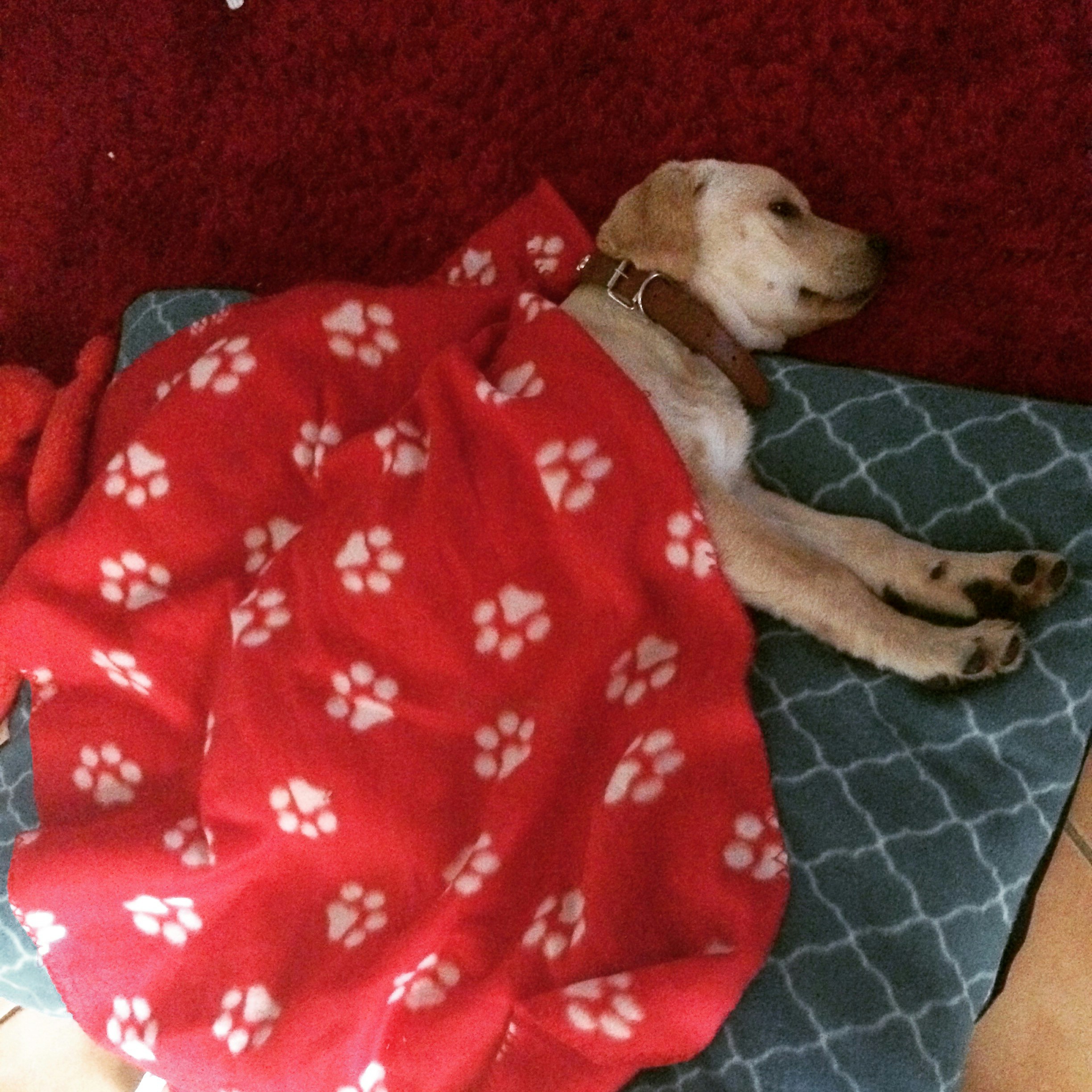 Free Unsplash photo from mona Ibrahim