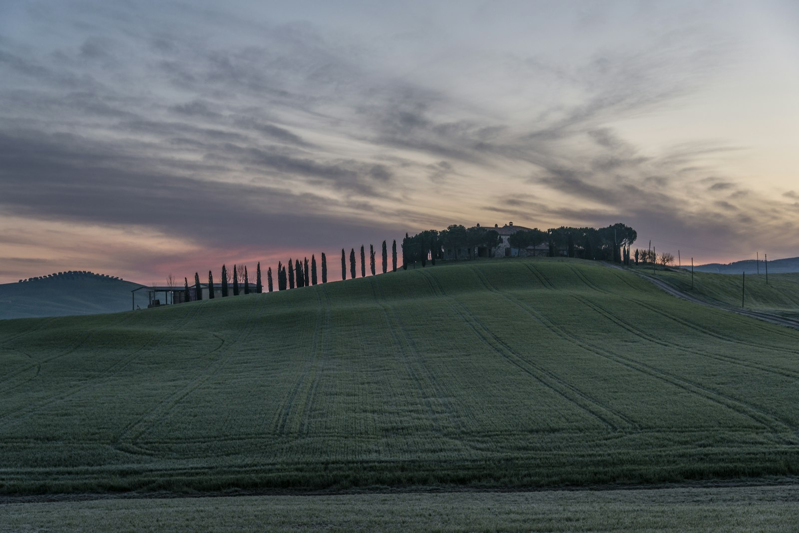 Nikon D800 + Nikon AF-S Nikkor 24-120mm F4G ED VR sample photo. Green grass field during photography