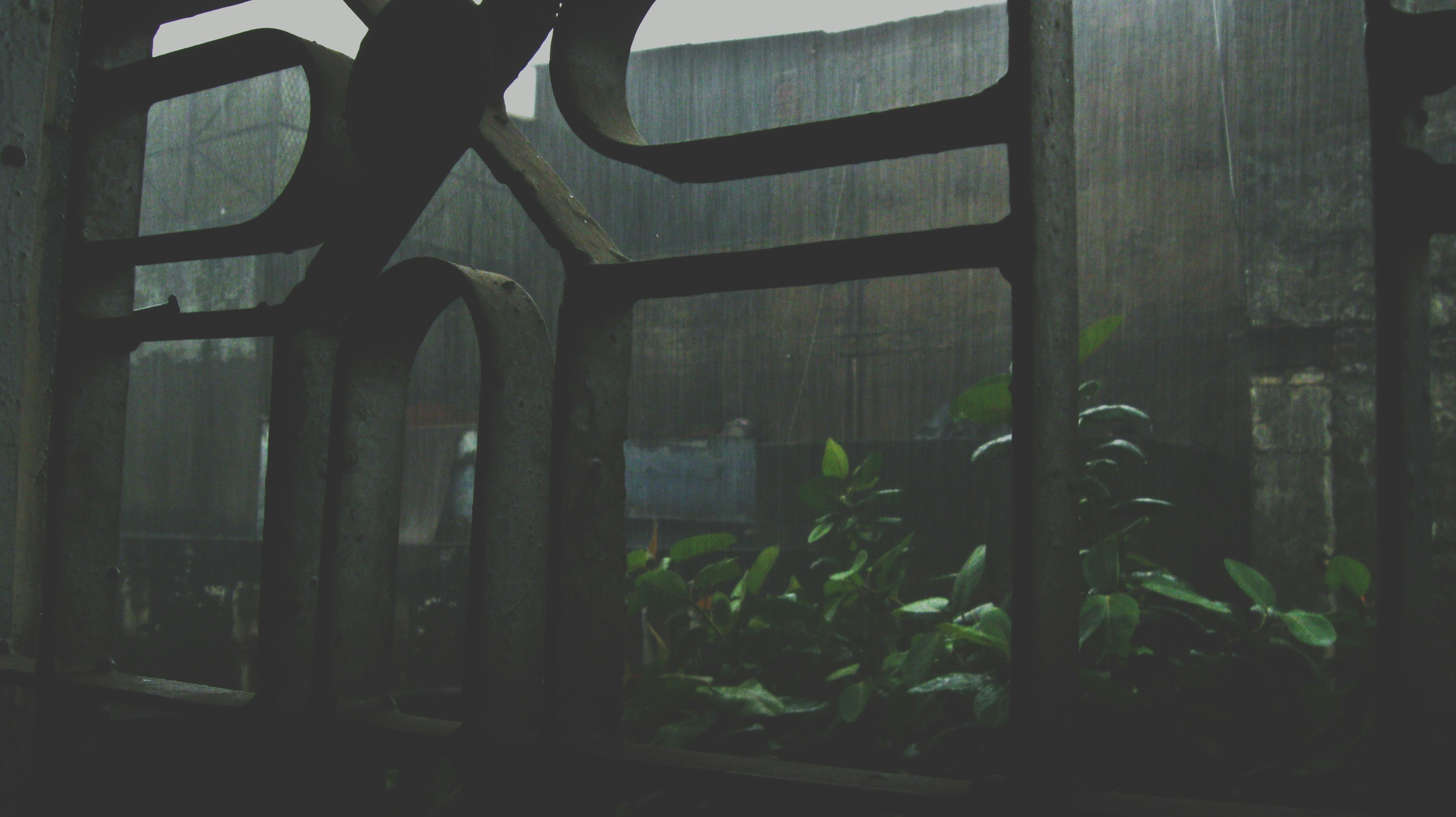 Free Unsplash photo from Somin Khanna