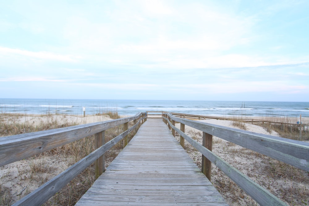 brown wooden dock during daytime