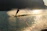 A smiling waterskier gliding smoothly across the glassy surface of Shredder Lake at sunset.