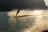 A smiling waterskier gliding smoothly across the glassy surface of Shredder Lake at sunset.