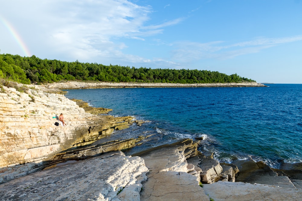 landscape photograph of shoreline