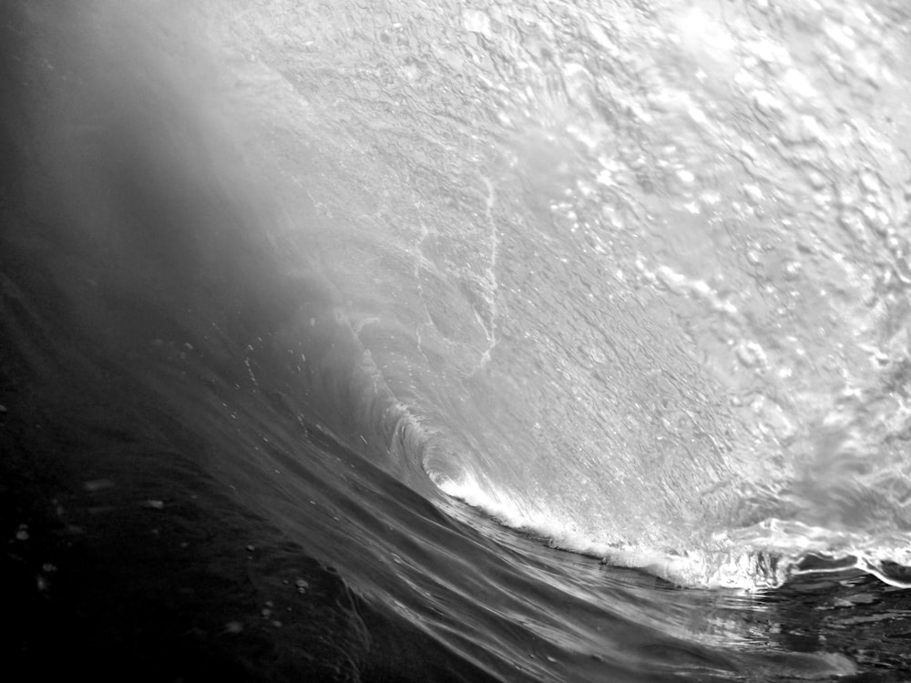 haute vague de surf