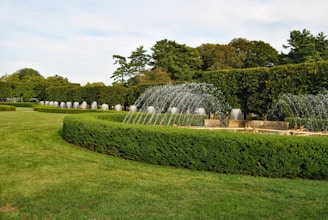 Fountains gracefully spraying water are set against a meticulously maintained green lawn, bordered by well-manicured hedges. A backdrop of lush, dense trees frames the scene, with a clear sky above.