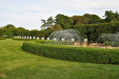 Fountains gracefully spraying water are set against a meticulously maintained green lawn, bordered by well-manicured hedges. A backdrop of lush, dense trees frames the scene, with a clear sky above.