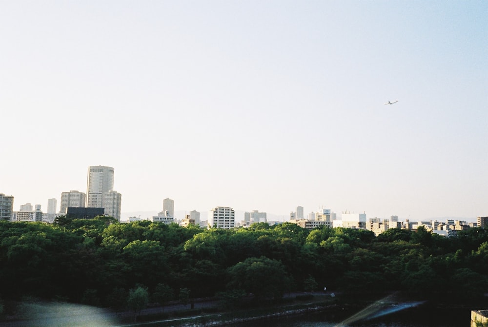 city buildings and green trees during daytime