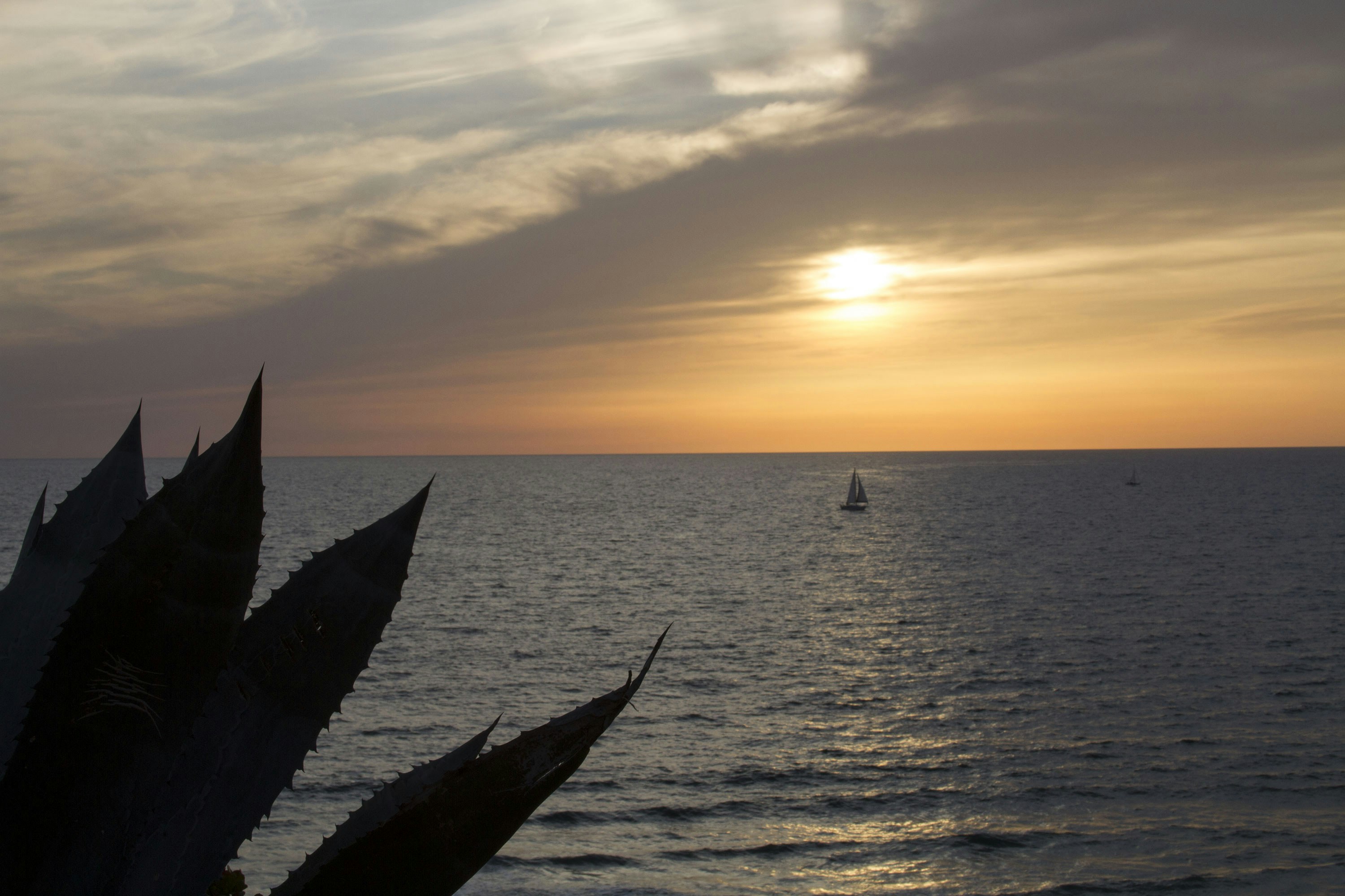 Free Unsplash photo from Anthony Lee Hulse