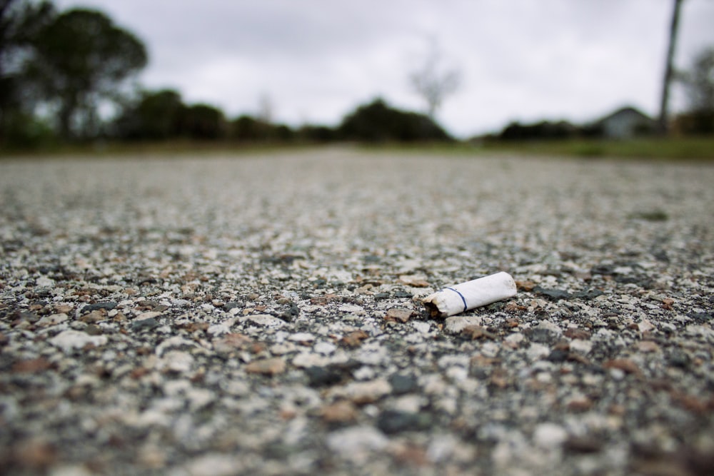 Photographie peu profonde de mégots de cigarettes