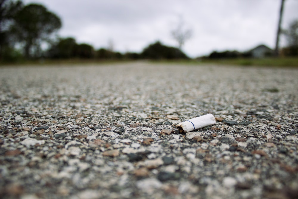 shallow focus photography of cigarette butt
