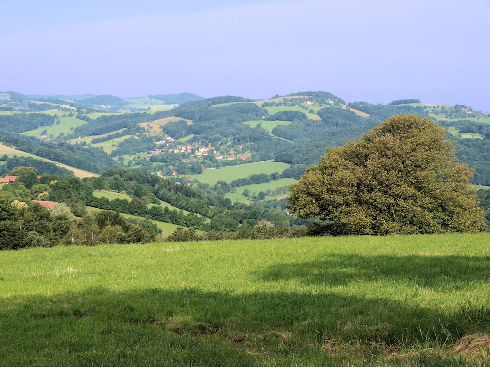 landscape photography of green mountains