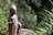 A stone statue of Buddha stands amidst a lush green garden, surrounded by foliage with sunlight casting shadows over it. The statue presents a serene expression with one hand raised in a gesture of blessing or teaching.