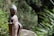 A stone statue of Buddha stands amidst a lush green garden, surrounded by foliage with sunlight casting shadows over it. The statue presents a serene expression with one hand raised in a gesture of blessing or teaching.