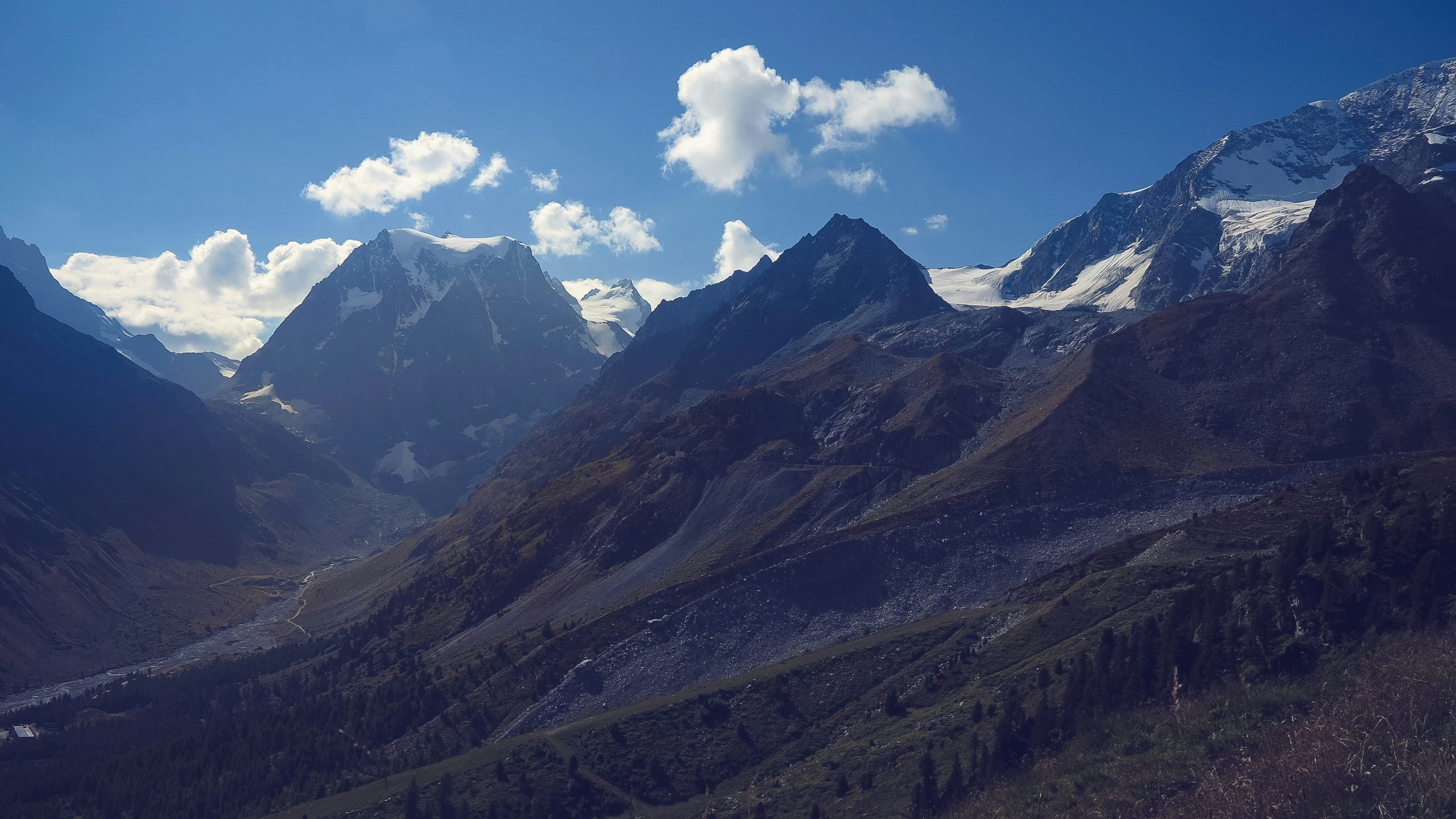 Free Unsplash photo from Sandro Speh