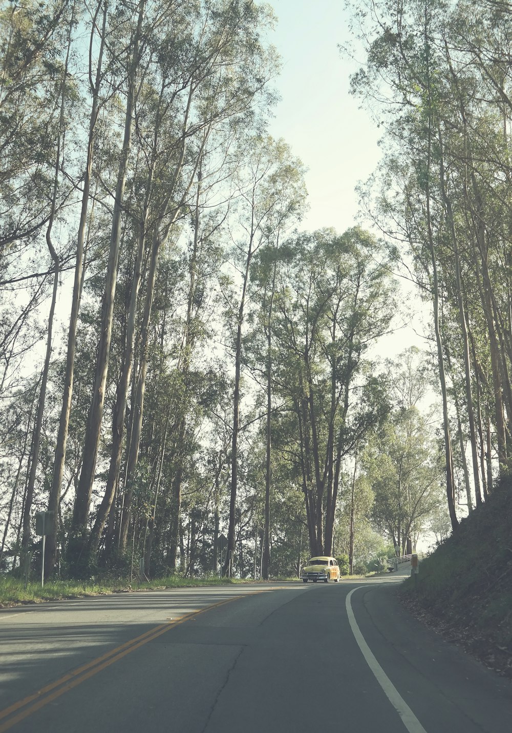 yellow car surrounded by trees during daytime