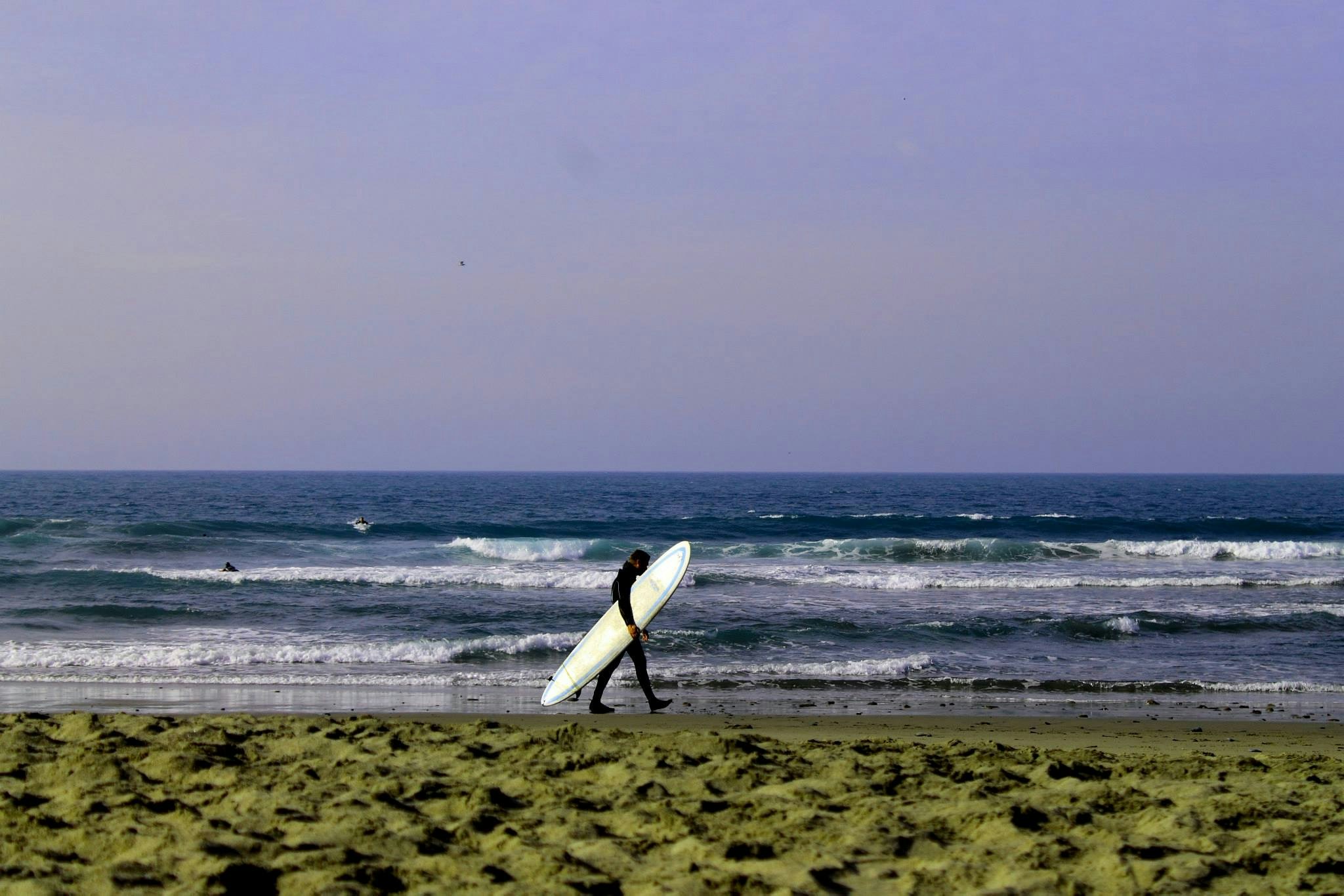 Free Unsplash photo from Angie Marasso