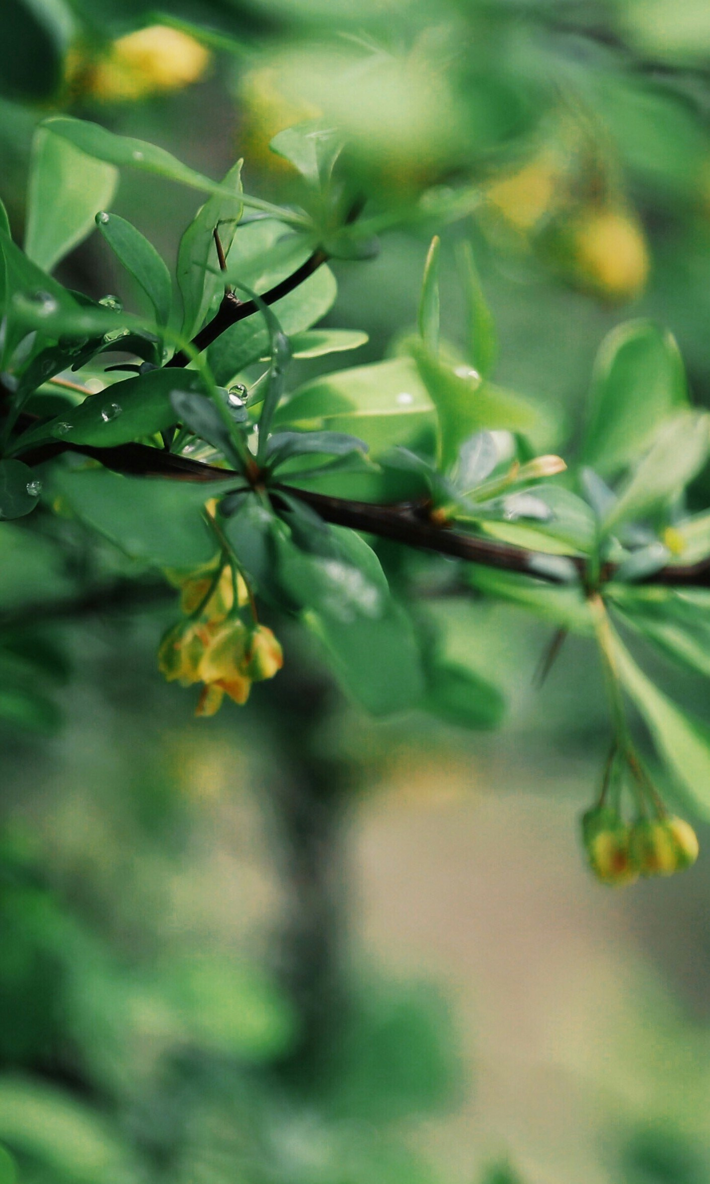 Free Unsplash photo from wyman H