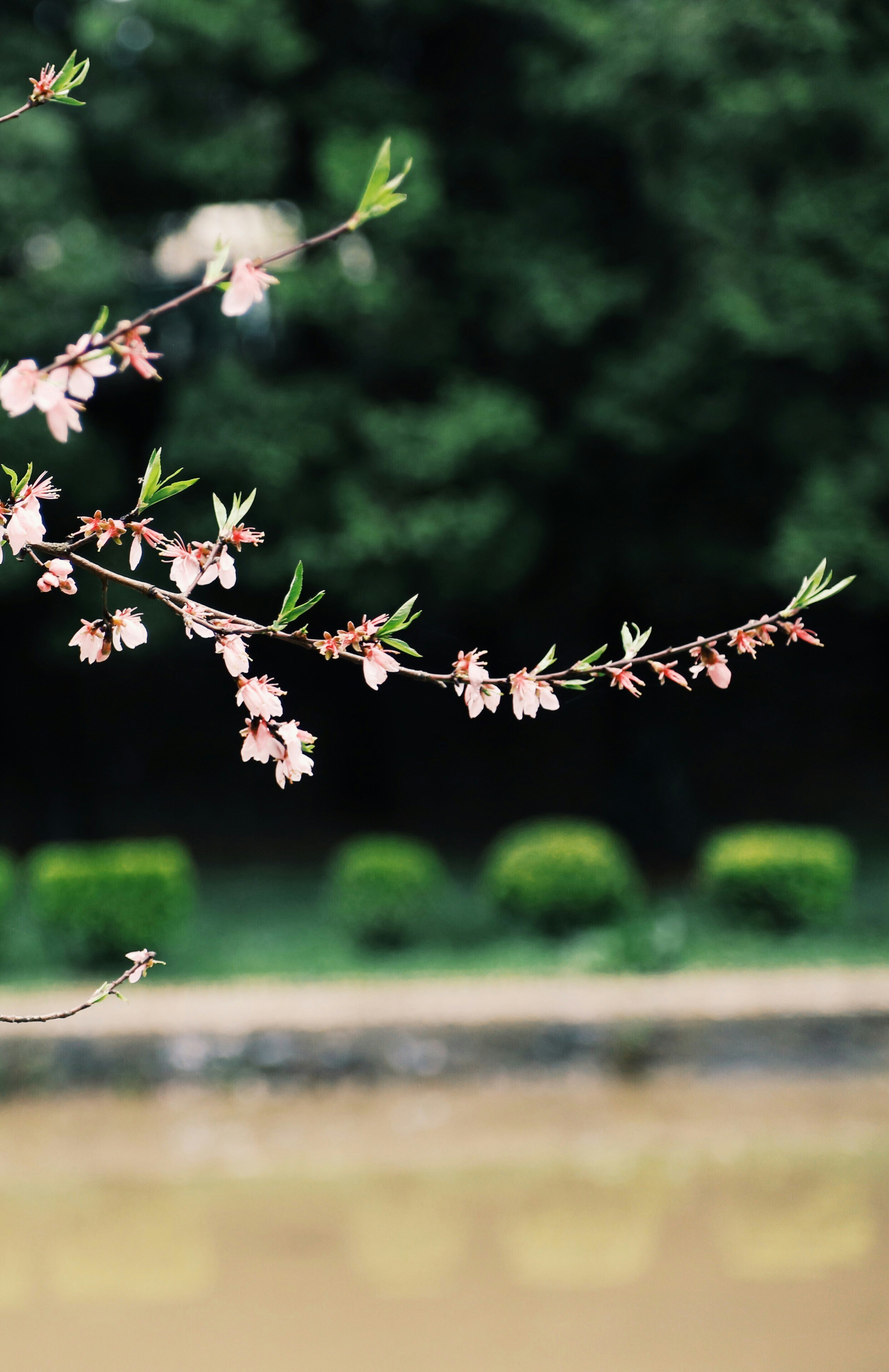 Free Unsplash photo from wyman H