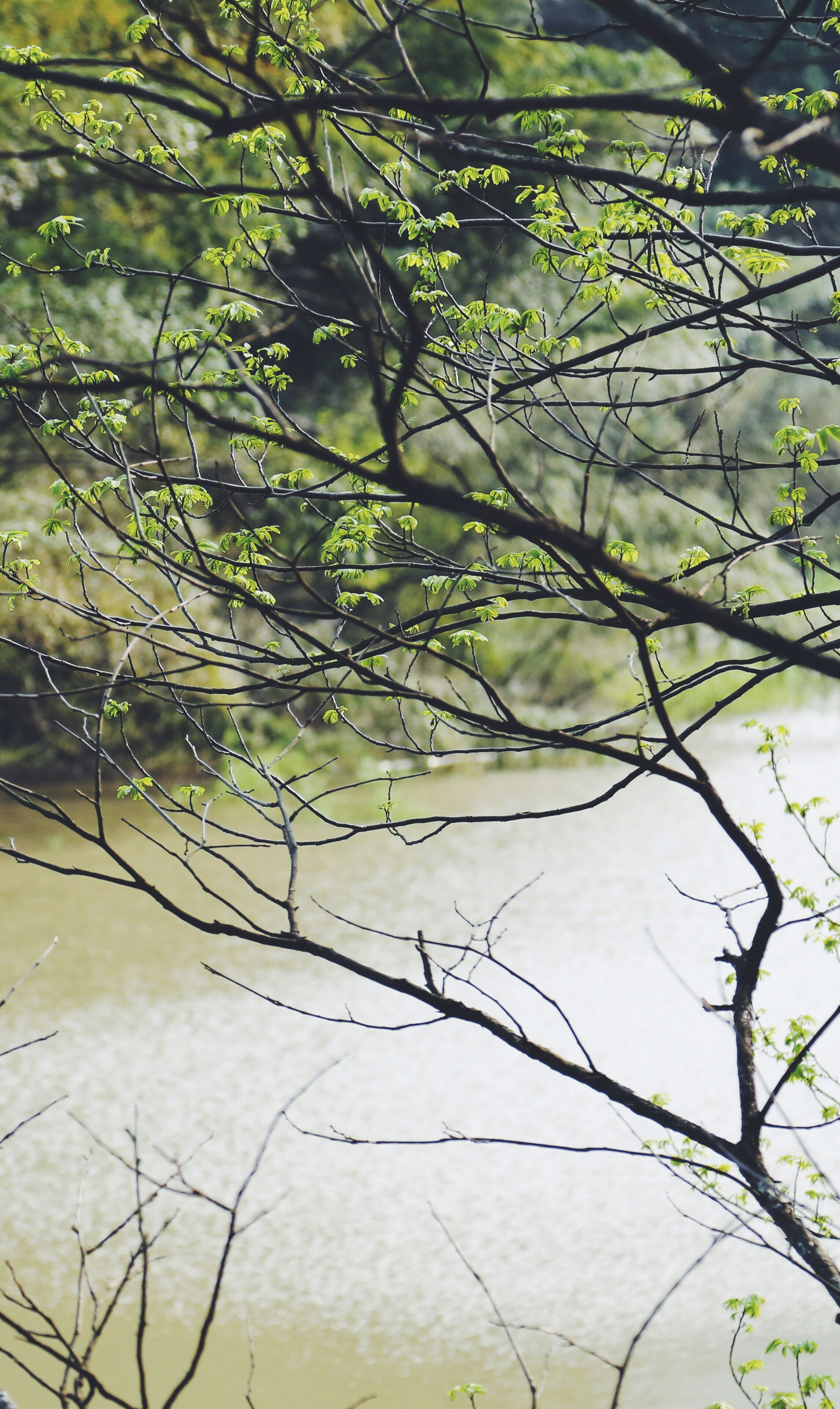 Free Unsplash photo from wyman H