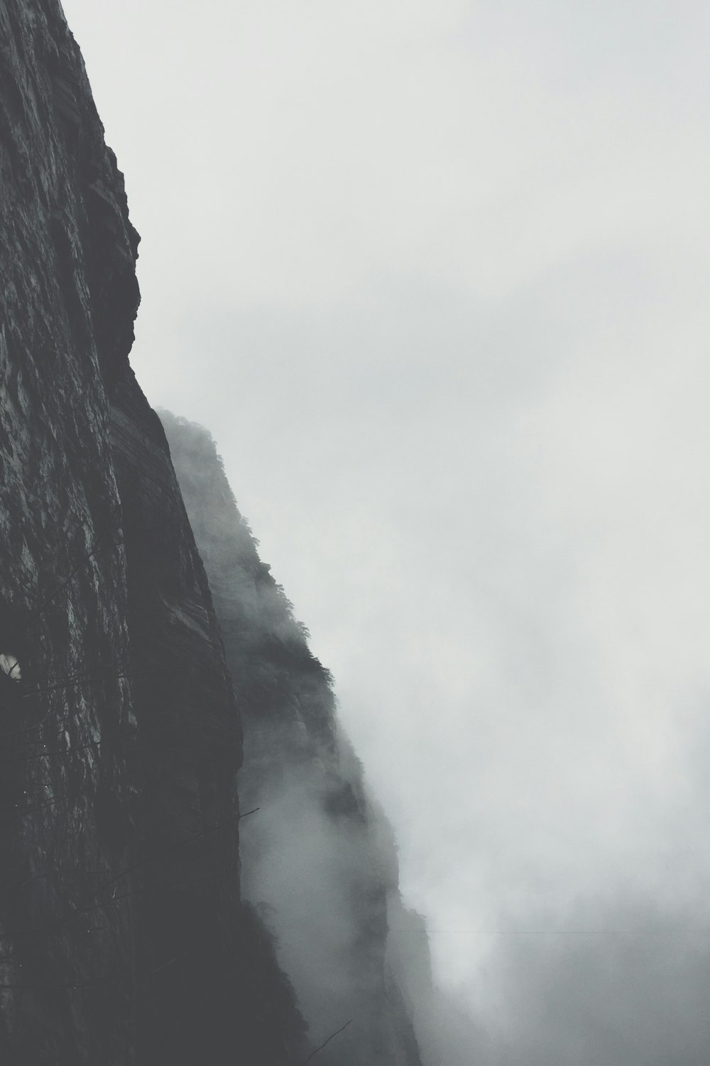 mountain ranges covered in white fog