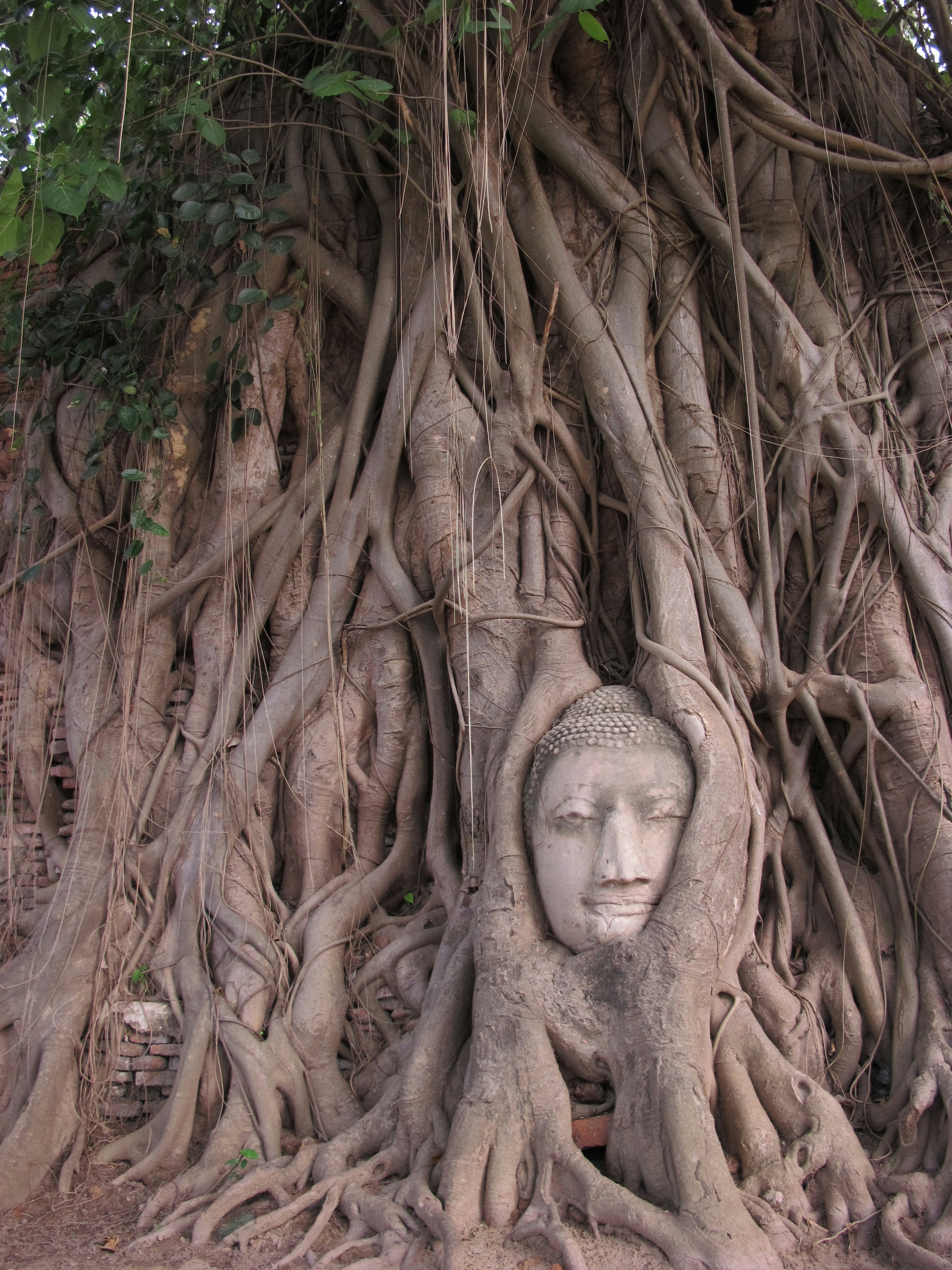 Free Unsplash photo from Jirapohn Seuakham