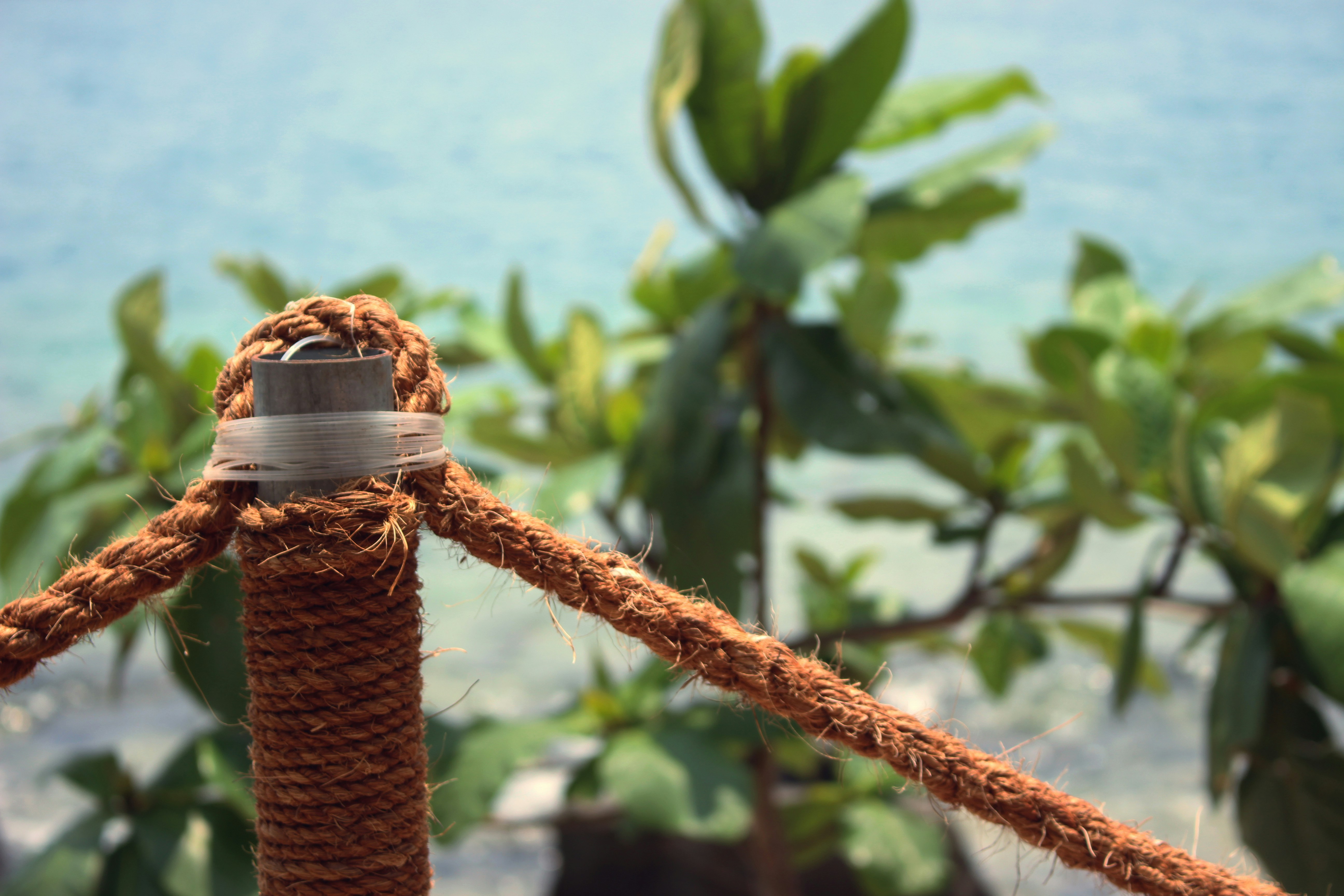 Free Unsplash photo from Ly Gia Phu