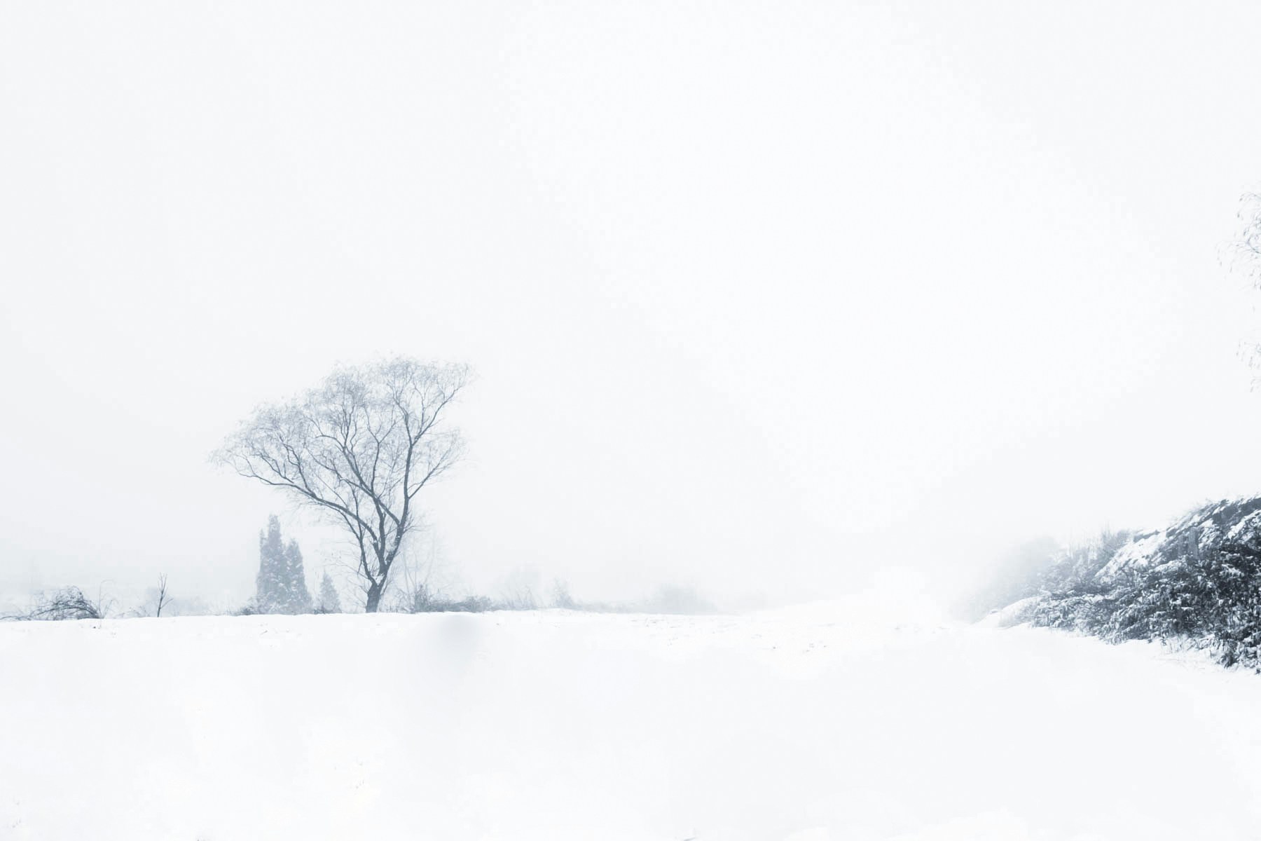 Free Unsplash photo from Howill li