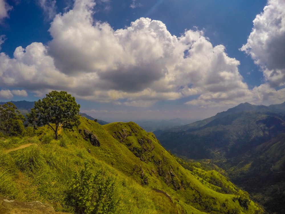 landscape photography of mountain