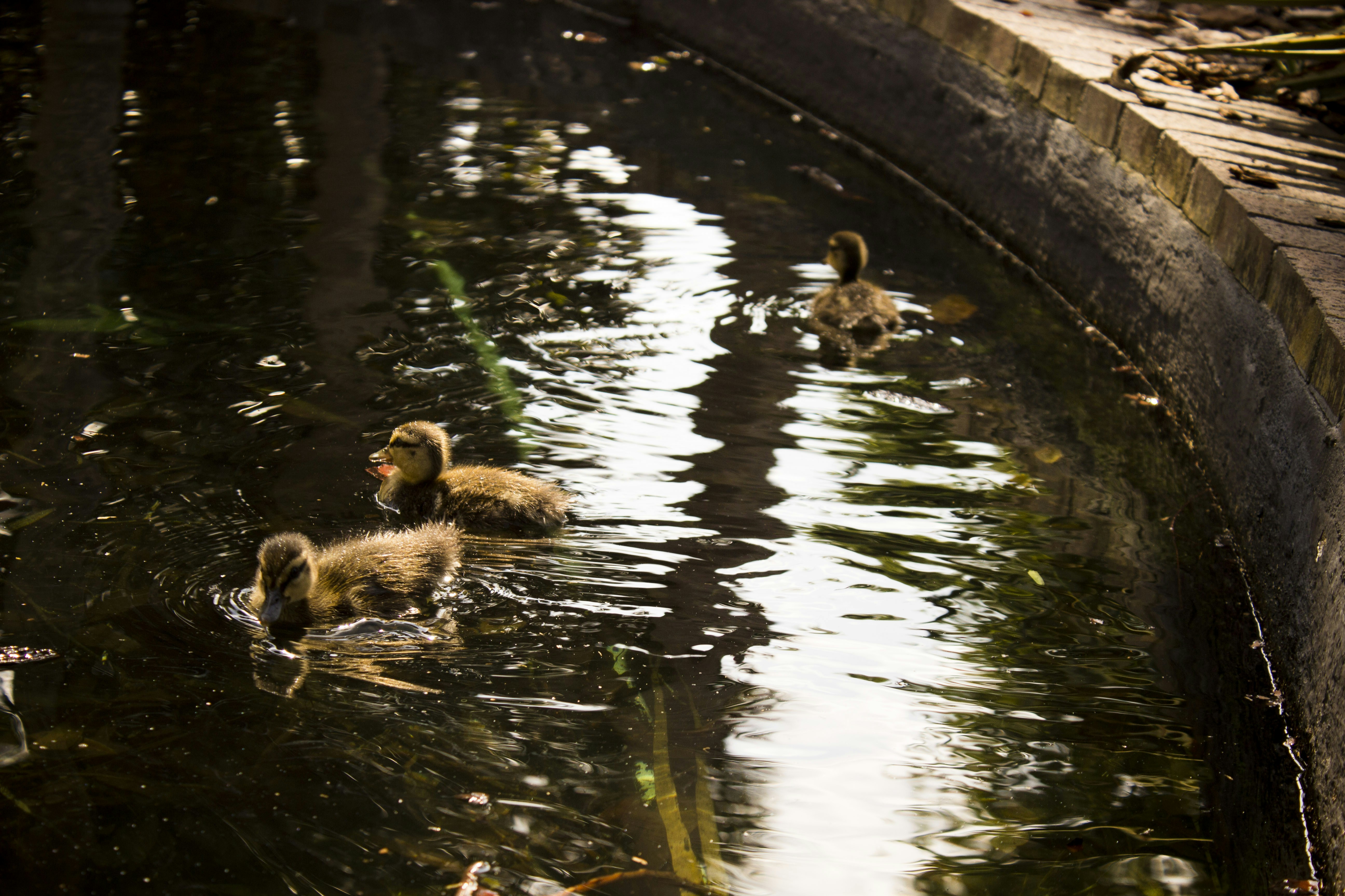 Free Unsplash photo from Cierra Woodard