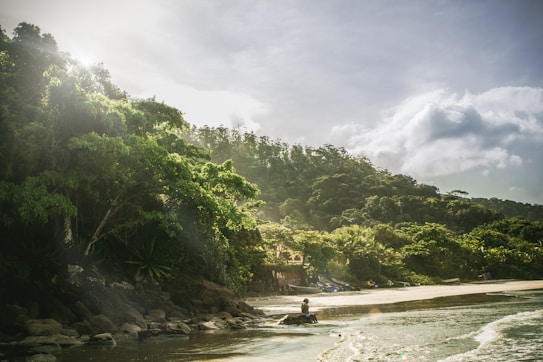 A lush, green tropical landscape with dense foliage and a serene beach setting. Sunlight filters through the trees, creating a tranquil atmosphere. A person appears to be sitting on the rocks near the shoreline, adding a sense of calm and relaxation to the scene.