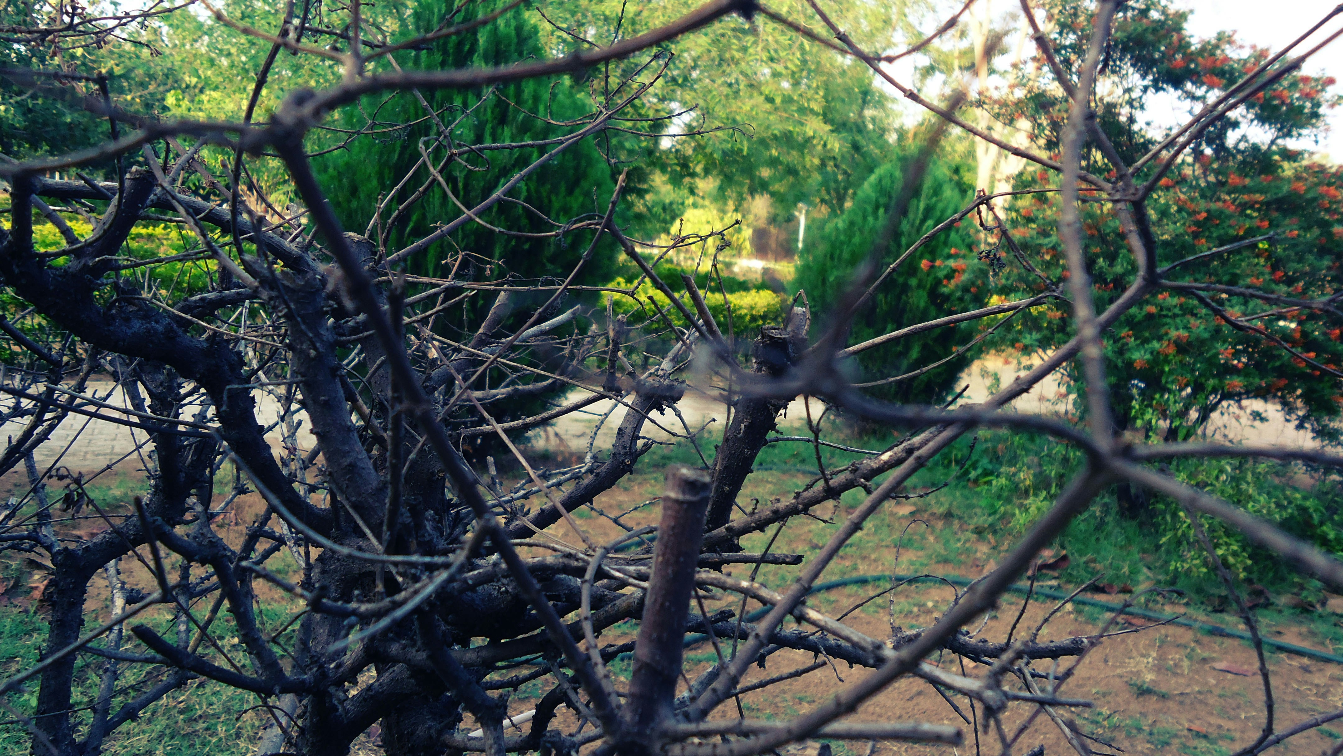 Free Unsplash photo from JandJ PhotoGraphics