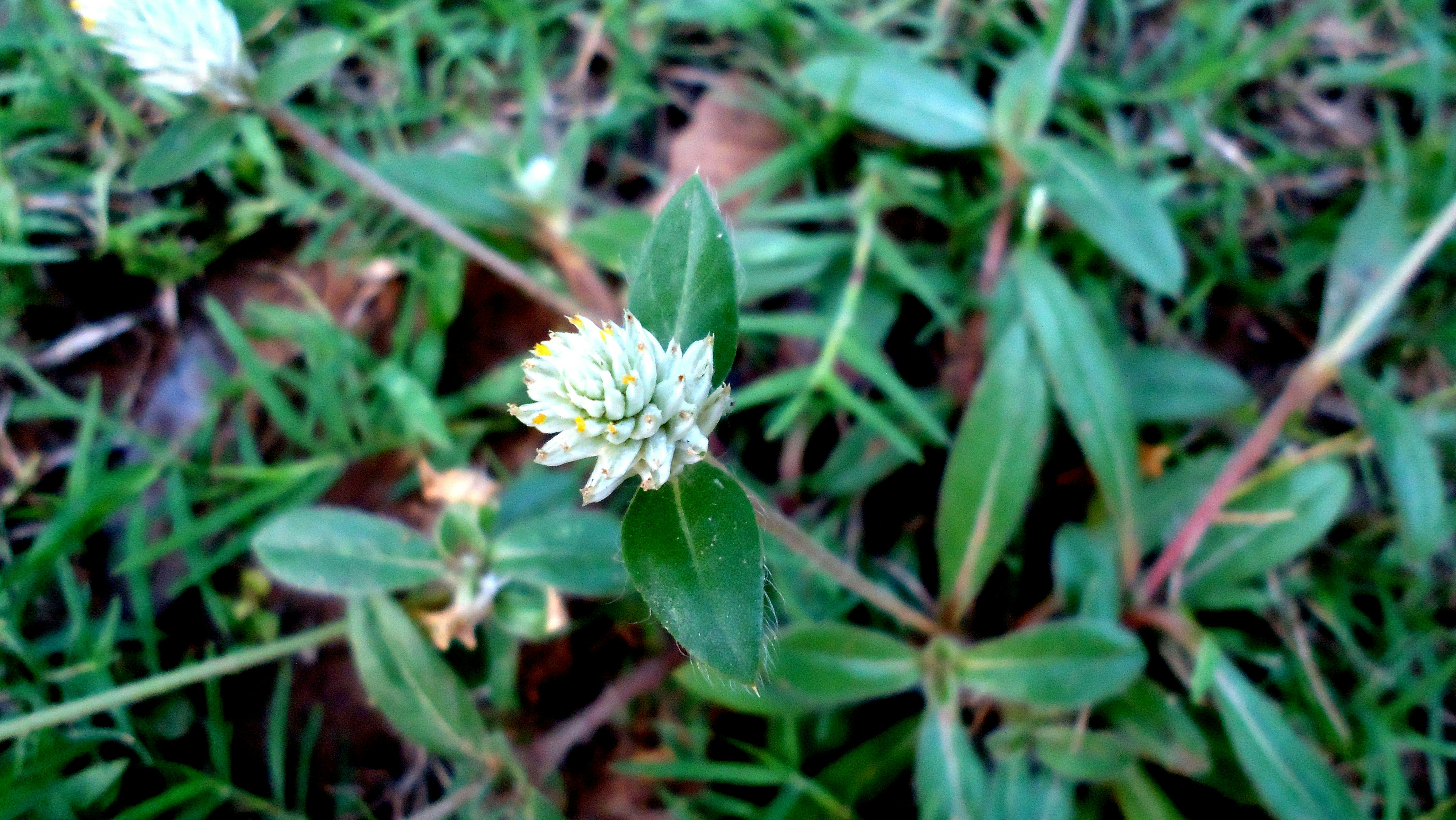 Free Unsplash photo from JandJ PhotoGraphics